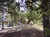 PDR_0231.JPG