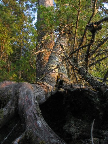 BWCA05 043.jpg