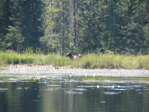 BWCA05 079.jpg