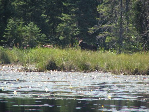 BWCA05 081.jpg
