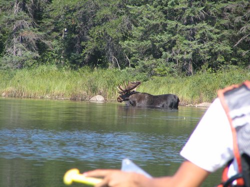 BWCA05 082.jpg