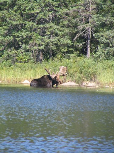 BWCA05 084.jpg