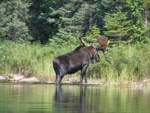 BWCA05 087.jpg