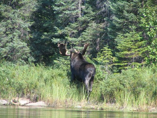 BWCA05 088.jpg
