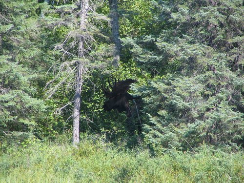 BWCA05 089.jpg