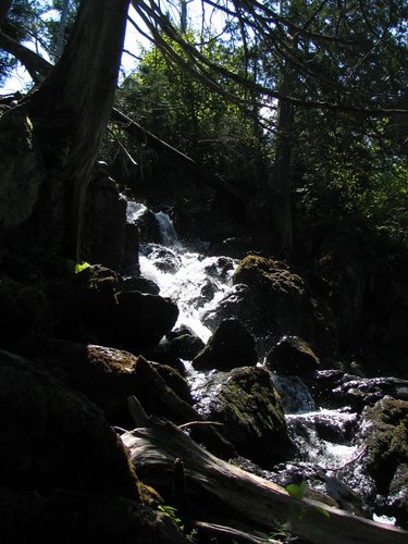 BWCA05 120.jpg