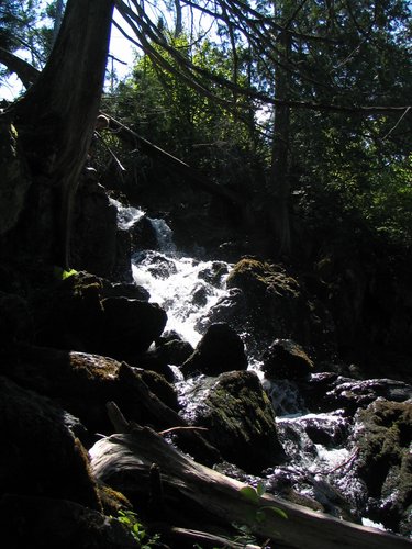 BWCA05 122.jpg