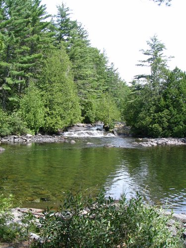 BWCA05 141.jpg