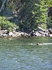BWCA05 008.jpg