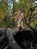 BWCA05 043.jpg