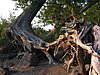 BWCA05 046.jpg