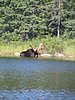 BWCA05 084.jpg