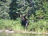 BWCA05 088.jpg