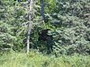 BWCA05 089.jpg
