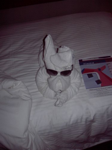 Picture 017.jpg