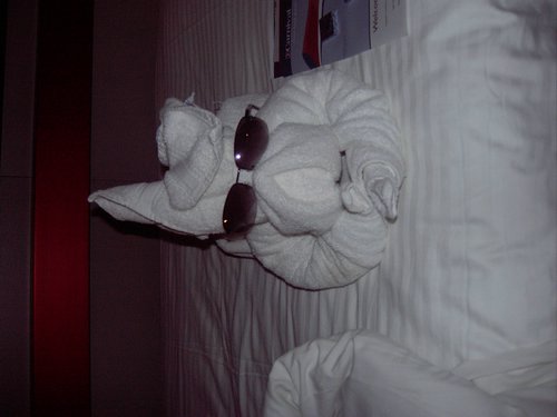 Picture 019.jpg