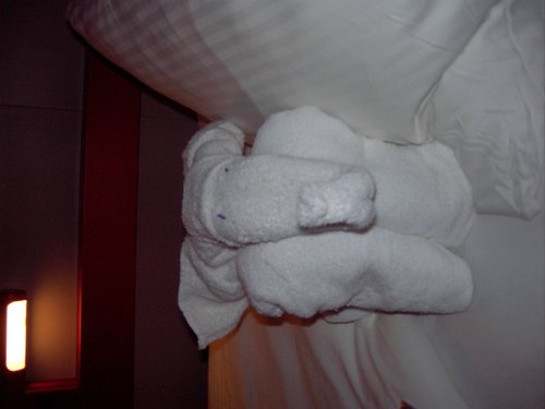 Picture 044.jpg