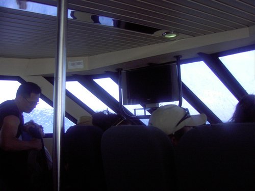 Picture 100.jpg