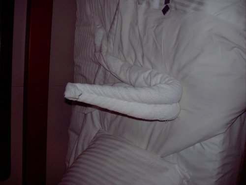 Picture 106.jpg