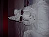 Picture 019.jpg
