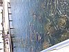 Picture 037.jpg