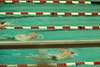 100_0824.JPG