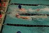 100_0830.JPG
