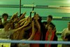 100_0677.JPG