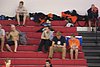 100_0759.JPG